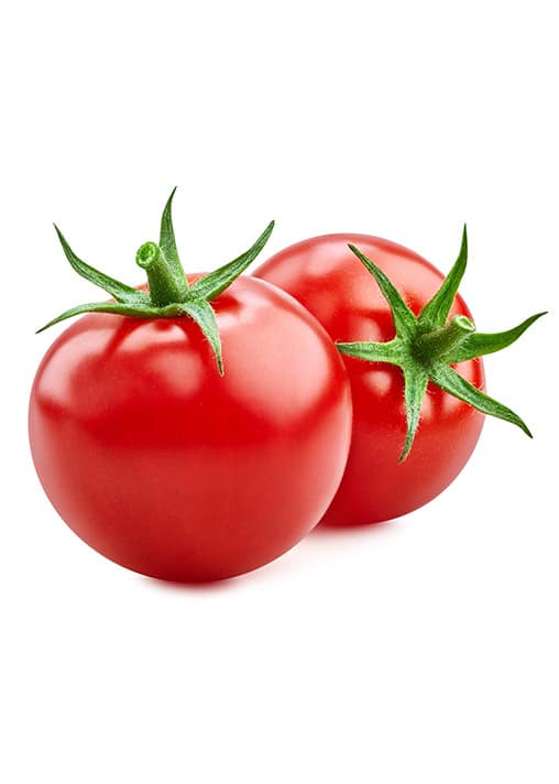 Harvest Tomaten