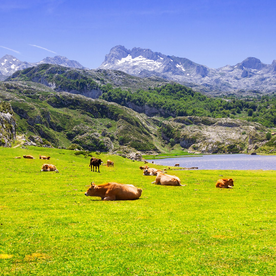 Xata Roxa - Asturia landschap