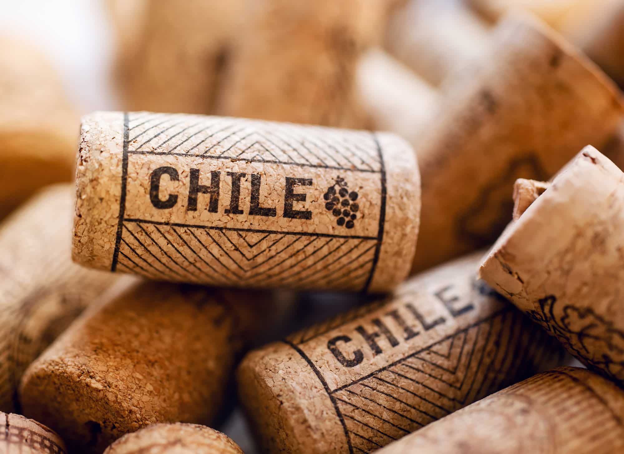 Kurken van Chileense wijnen