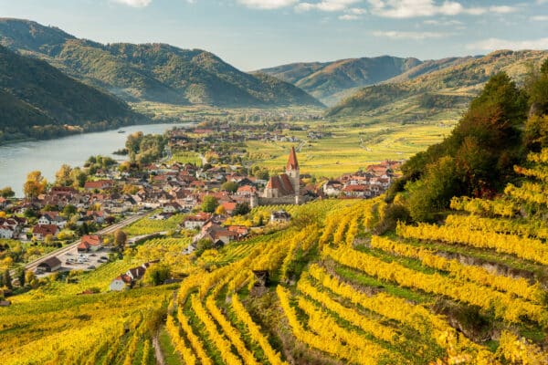 Wijngaarden Oostenrijk