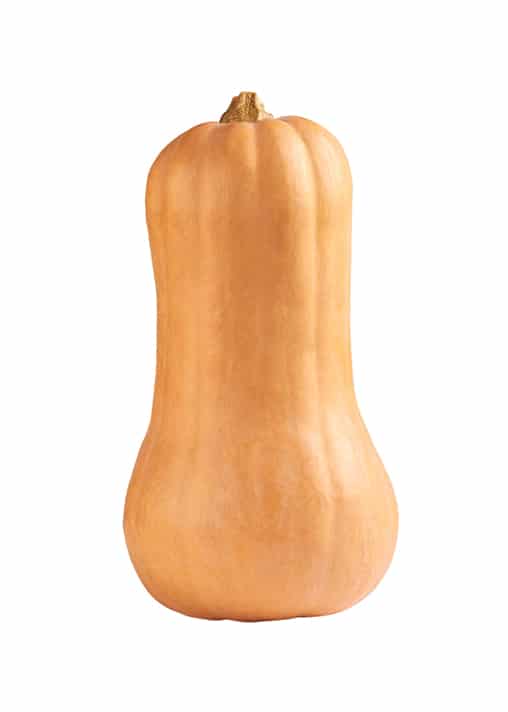 flespompoen